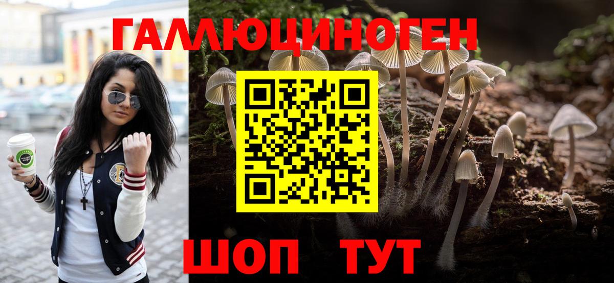 Сибай  Галлюциногенные грибы Psilocybine cubensis  сколько стоит  Галлюциногенные грибы Magic Shrooms  Вход с VPN 